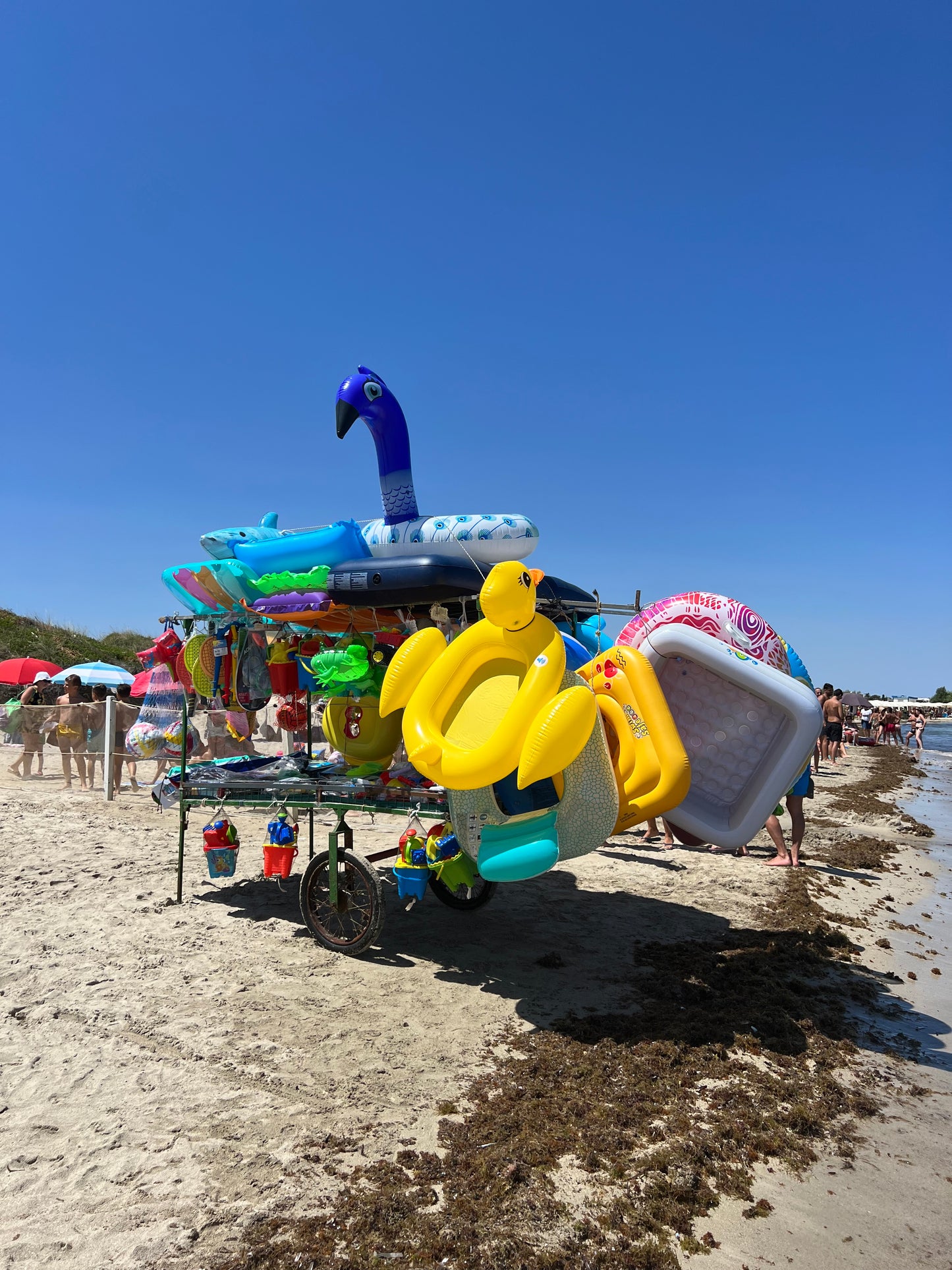 T-Shirt Ostuni Sirena Caribbean blu